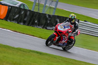 PJ-Motorsport-Photography-2020;anglesey;brands-hatch;cadwell-park;croft;donington-park;enduro-digital-images;event-digital-images;eventdigitalimages;mallory;no-limits;oulton-park;peter-wileman-photography;racing-digital-images;silverstone;snetterton;trackday-digital-images;trackday-photos;vmcc-banbury-run;welsh-2-day-enduro